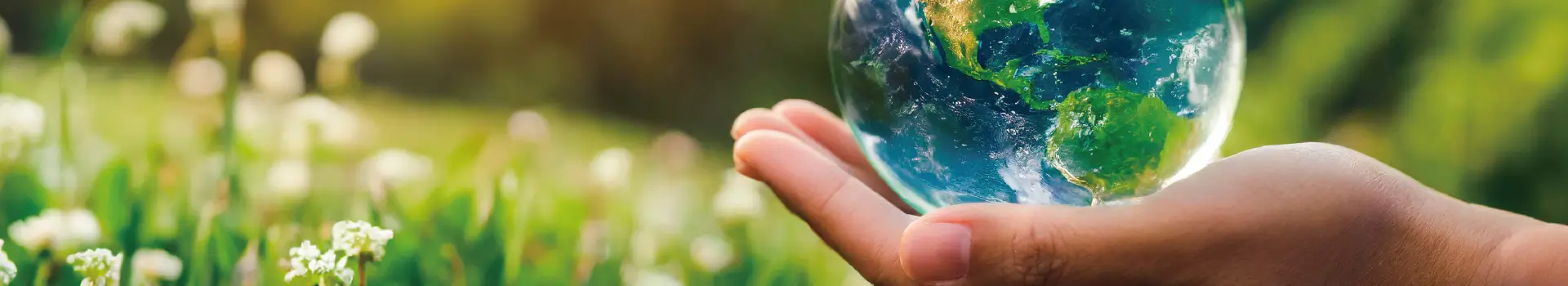 SDGs by Revo Energy
