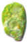 ミドリムシ
