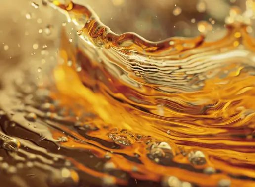Bioenergy Revolution